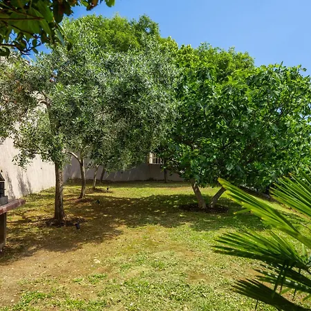 Zulijani House Helis B7 Apartamento *